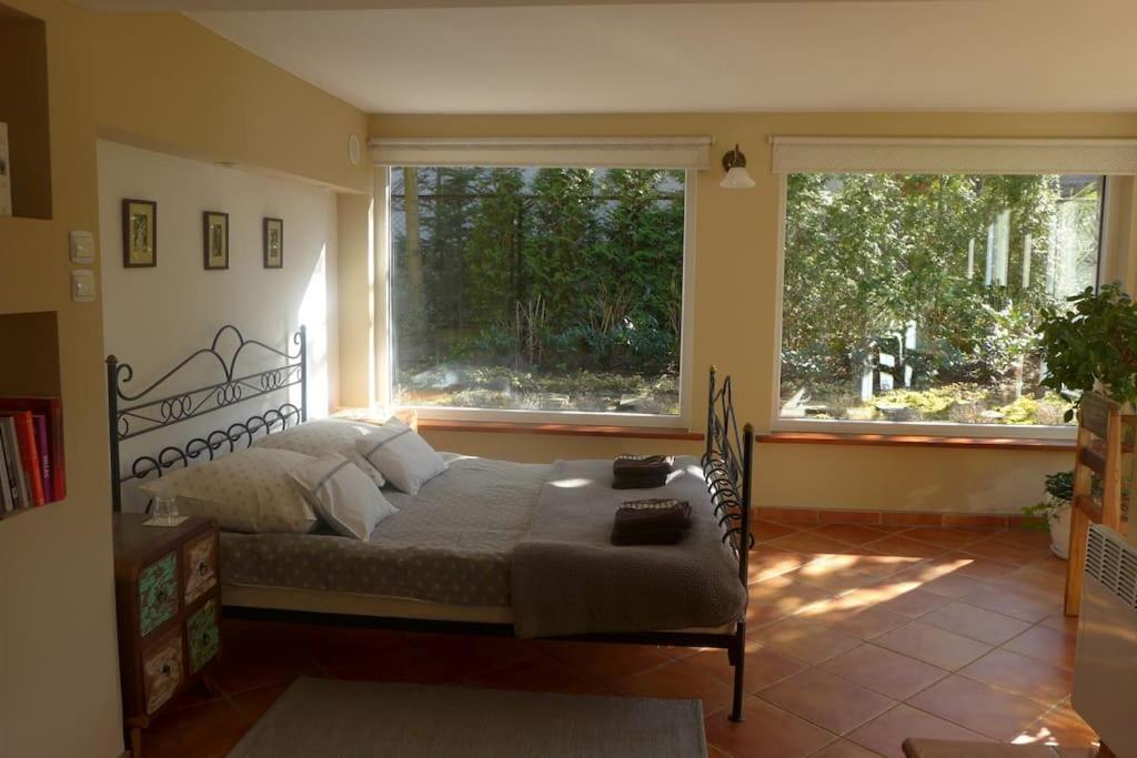 Spacious Apartment In Green District. Βρότσλαβ Εξωτερικό φωτογραφία