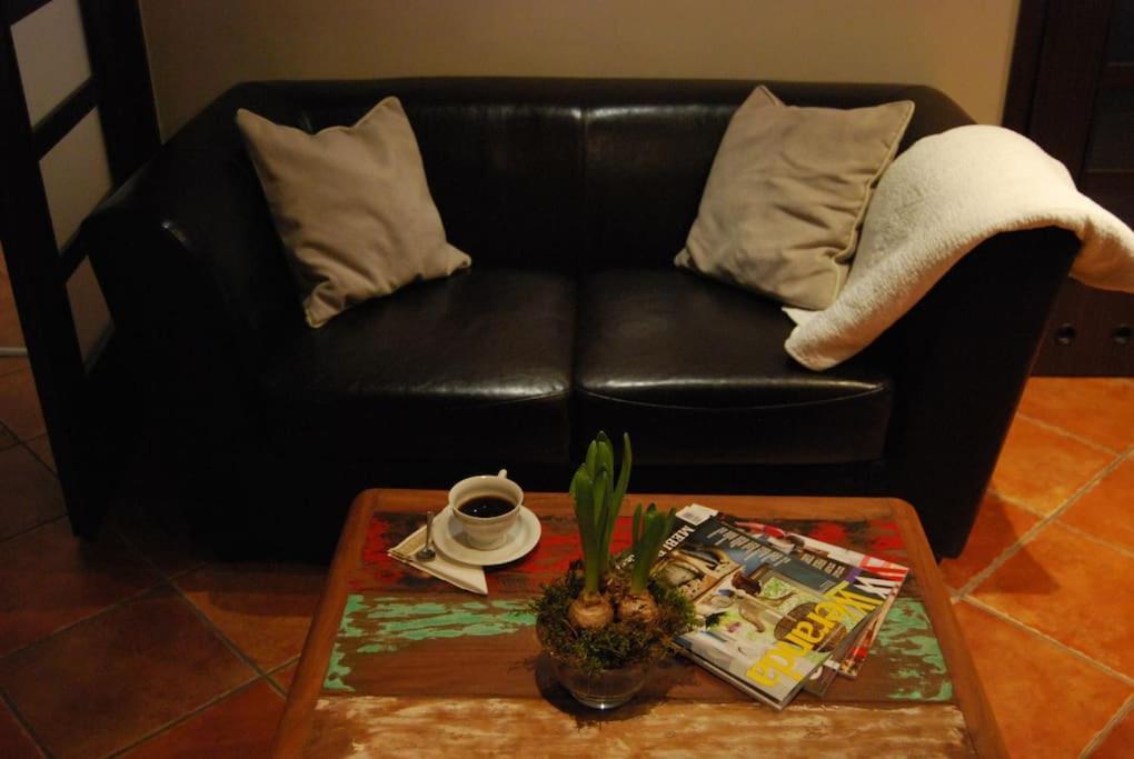 Spacious Apartment In Green District. Βρότσλαβ Εξωτερικό φωτογραφία